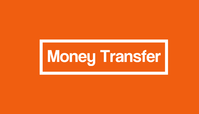 Money Transfer