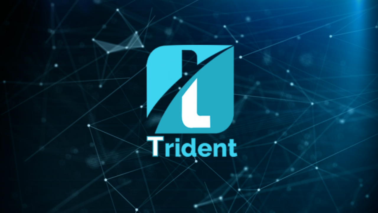 Trident Coin Diverse Crypto Portfolio Is Now Easy Holding In Single Coin Techbullion