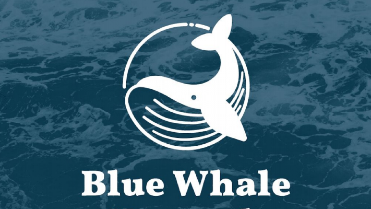 Interview with Will Lee at Blue Whale, a decentralized ecosystem for the self employed - TechBullion