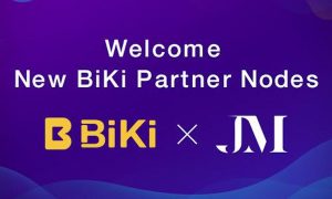 .M. Consultancy Services Limited