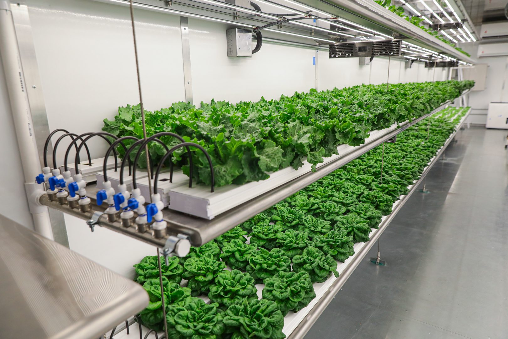 Grow Pod Solutions: AgroTech Shipping Container Farming Systems for Indoor Organic Farming. - TechBullion