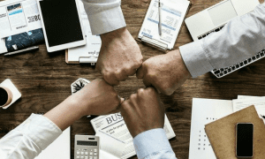 Collaboration Network