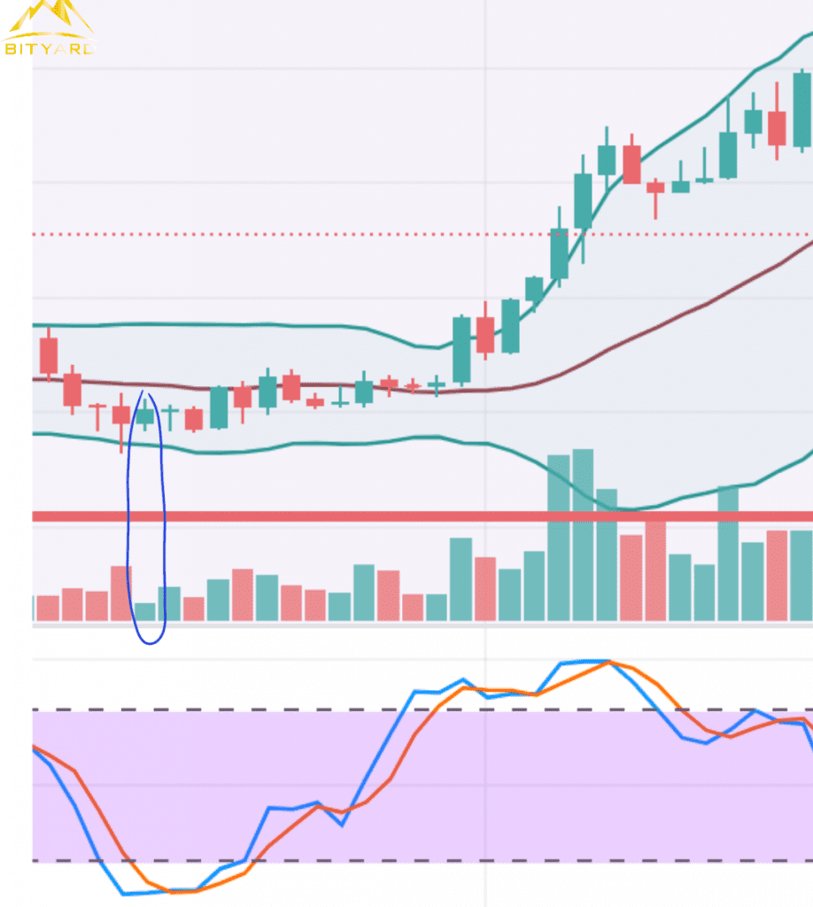 bullish crypto to buy