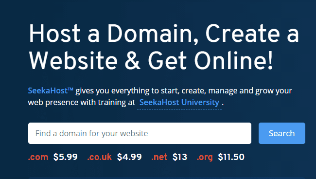 Domain Hosting