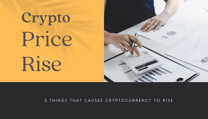 Cryptocurrency Price Rise