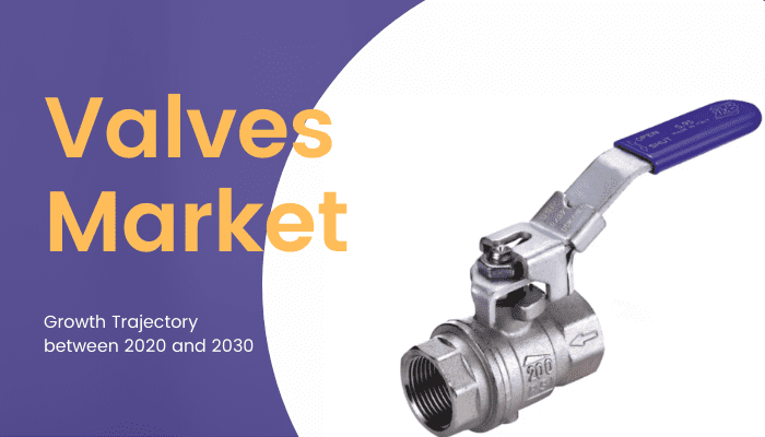 Valves Market