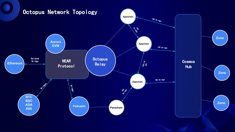 Điểm nổi bật của Octopus Network (OCT)