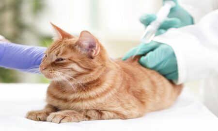 Veterinary Vaccines