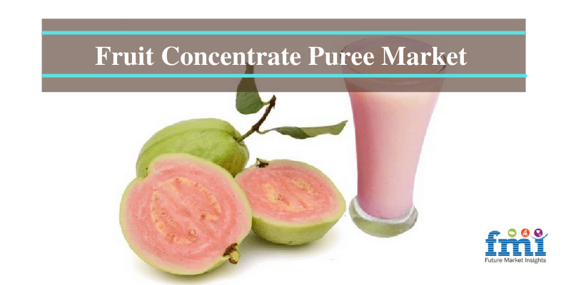 Fruit Concentrate Puree Market