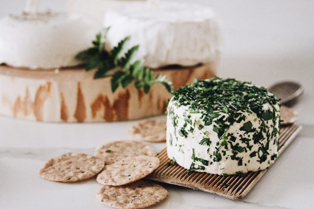 Plant-based Cheese