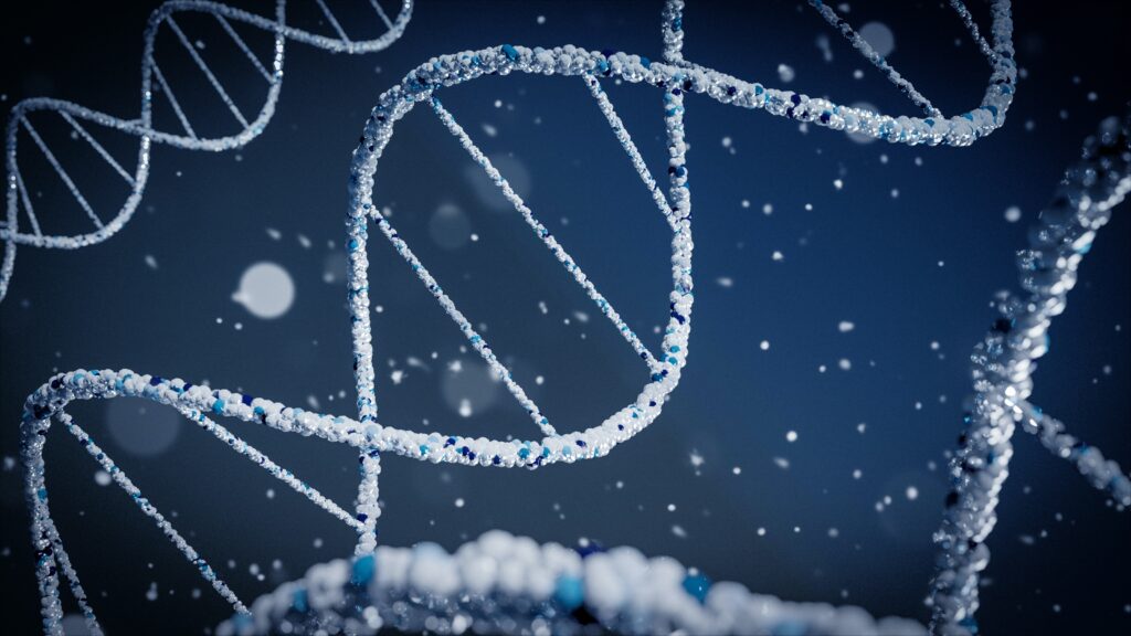 DNA next gen sequencing