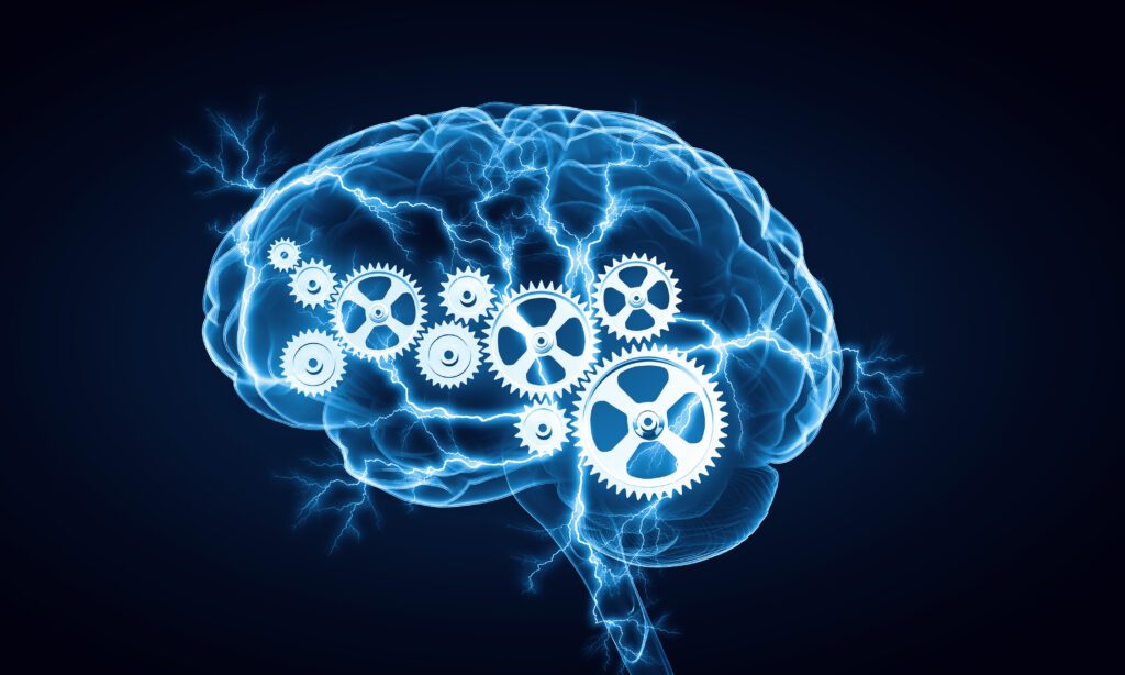 Cognitive Assessment and Training Market