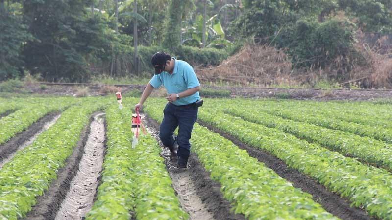 agricultural pheromones