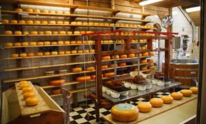 Processed Cheese Market