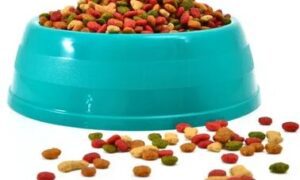 Grain-Free Pet Food