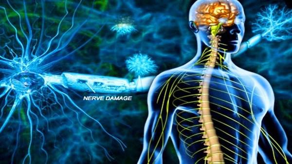 Nerve Repair and Regeneration Market Growth