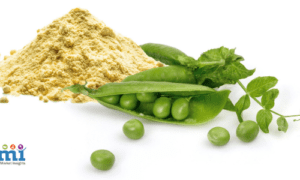 Pea Protein