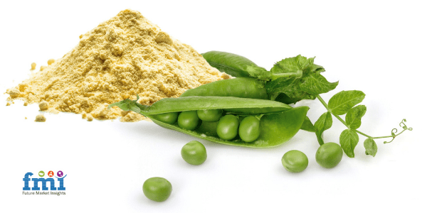 Pea Protein