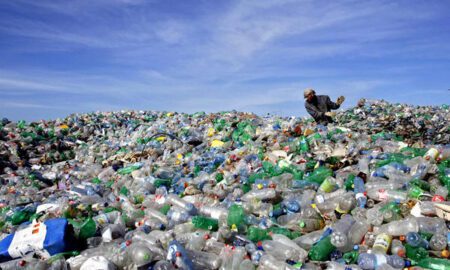 Plastic Waste Management Market Trend