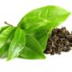 Tea Extracts Market Trend