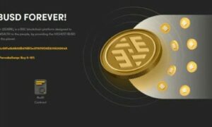 EverEarn Launch Exceeding ALL Expectations