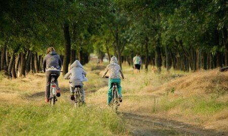 Kids Bicycles