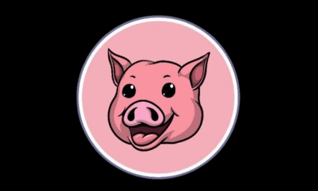 What is PIG Token Finance?