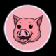 What is PIG Token Finance?