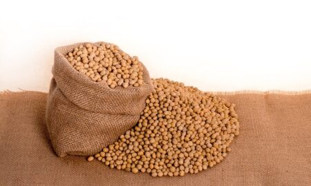 Soybean Oil Market