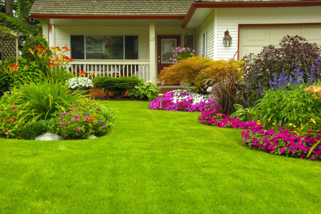 How to Make Your Lawn Adorable