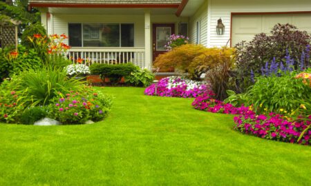 How to Make Your Lawn Adorable