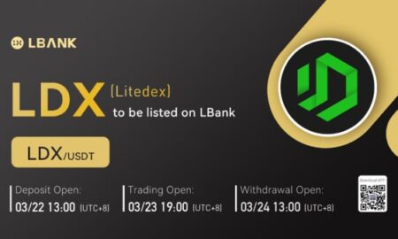 Litedex Protocol – The First DEX in Indonesia Supported by Deputy Minister of Trade as a Meta Finance Blockchain Developer