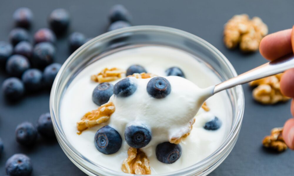 Lactose Free Probiotic Yogurt Market Detailed Overview & Analysis of