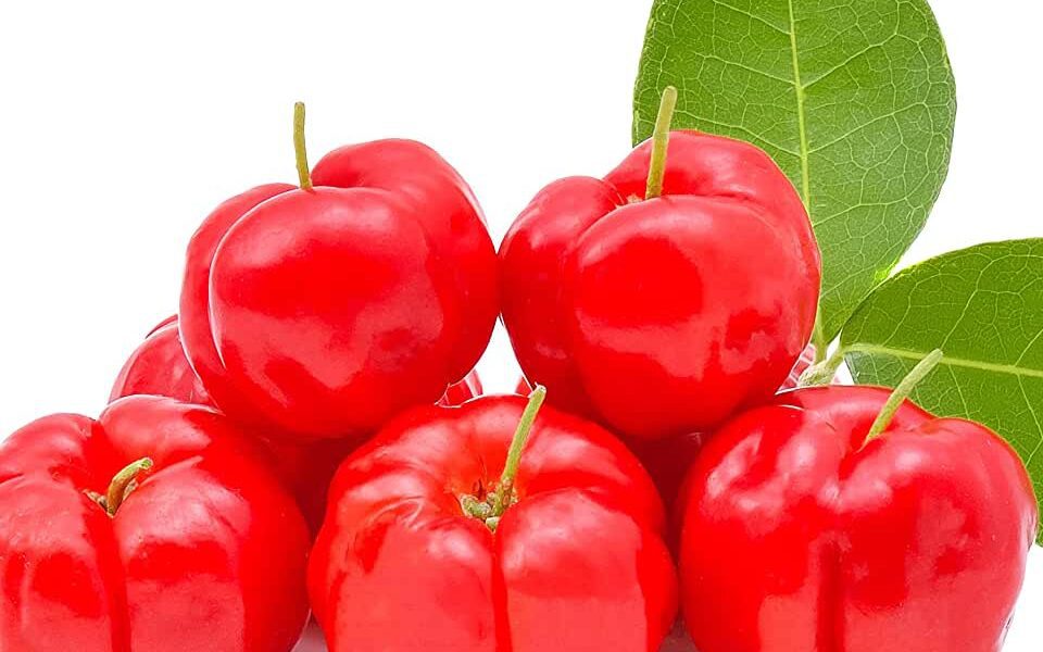 Ulmf Acerola