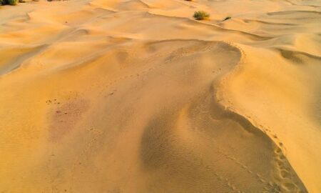 Thar water crises