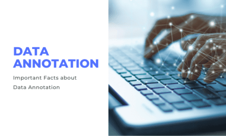 Facts about Data Annotation