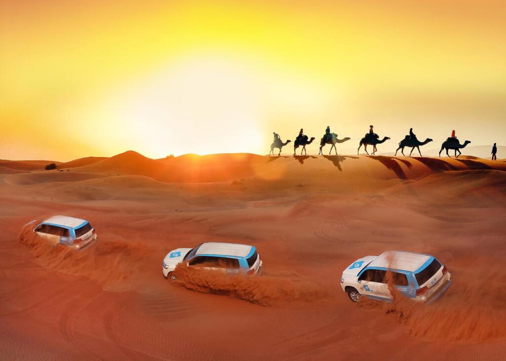 Desert safari