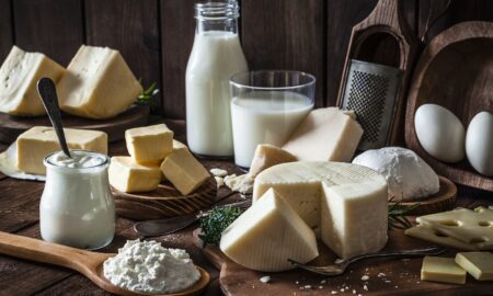 Fermented Dairy Ingredients Market