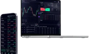Ouinex Review 2026