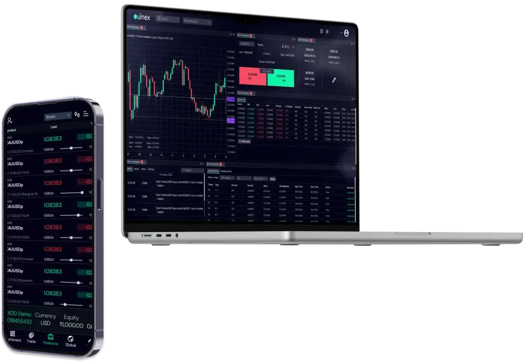 Ouinex Review 2026