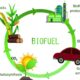 Biofuels Market