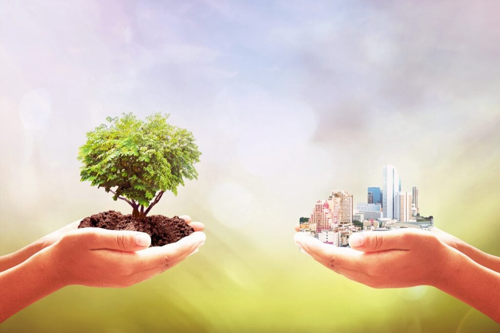 Erik Stangvik Explains the Importance of Social Entrepreneurs