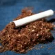 Roll-Your-Own Tobacco Product Market