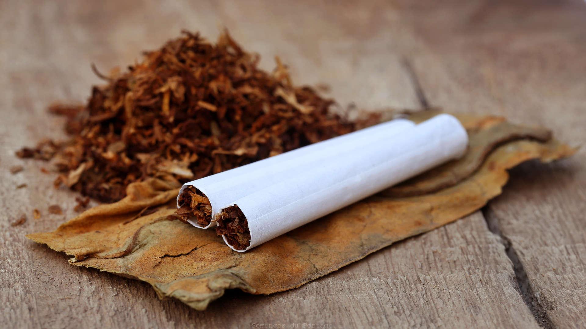 Roll-Your-Own Tobacco Product Market