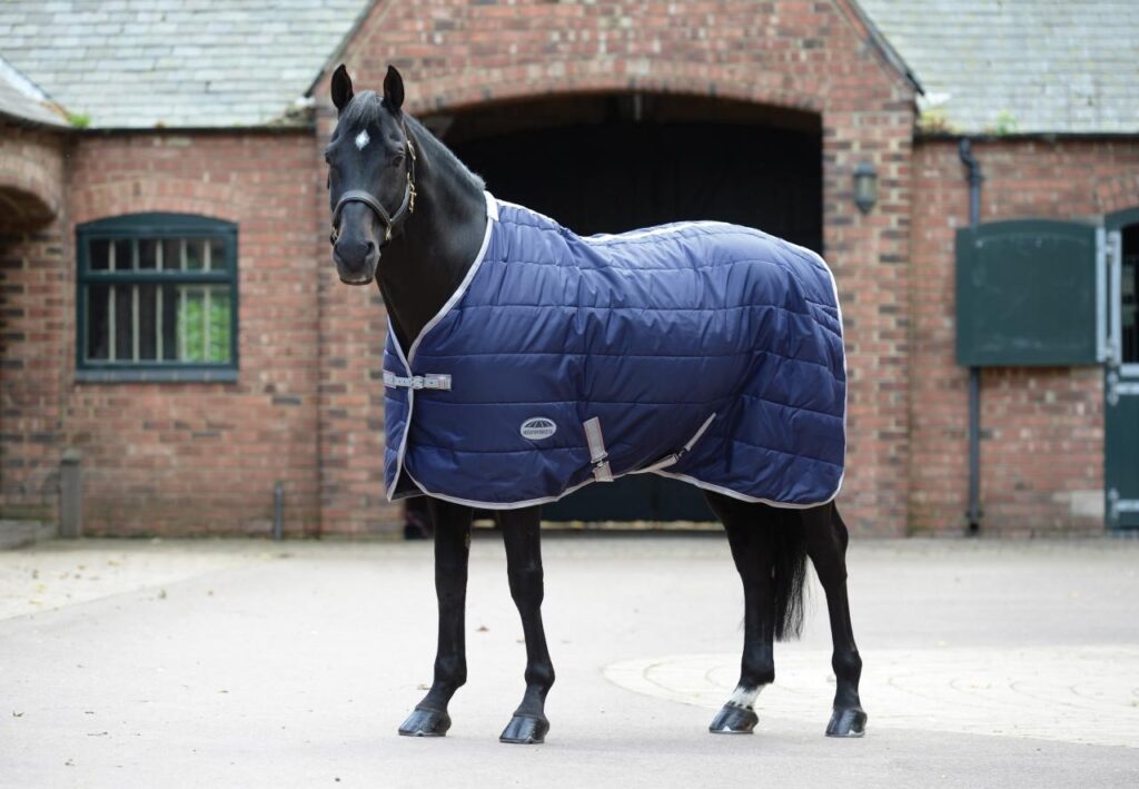 Why You Need Horse Rugs and Accessories for Your Horse