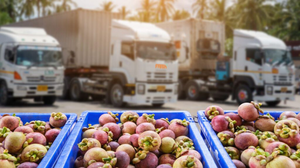 bridging the gap food distribution fresh2