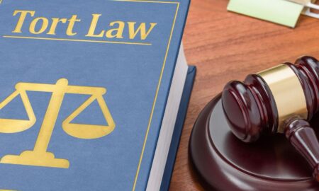 understanding the purpose of tort law