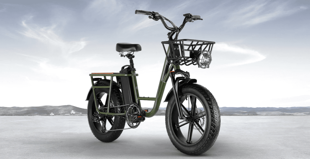 Fiido T1 Ebike