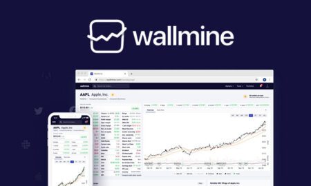 Wallmine Review