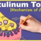 botulinum